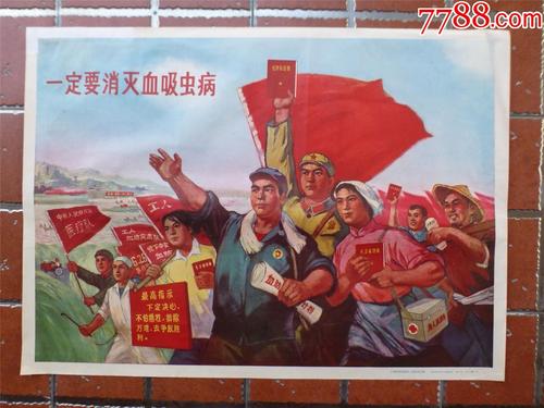 苫小牧駒沢大学机械工程文凭证书
